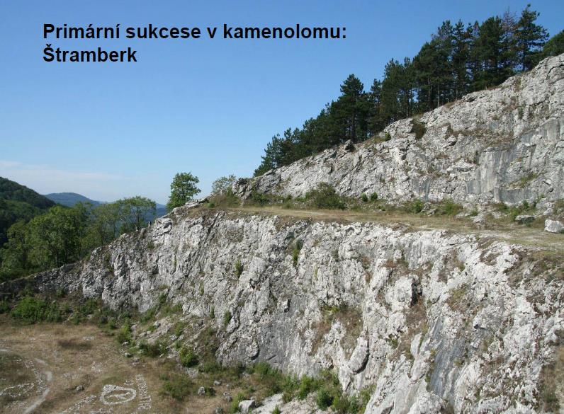 5.4.2.2 Regenerace narušené nebo zničené biocenózy Při obnově narušené nebo zničené biocenózy jde o sukcesi sekundární.