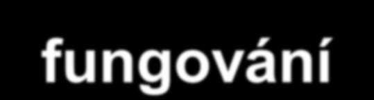 kontrolních systémů Mgr.