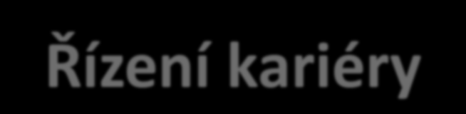 KS mzdy PROFi Řízení kariéry vyhledávání vhodných zaměstnanců vytváření plánu