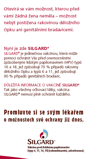 Příloha č.