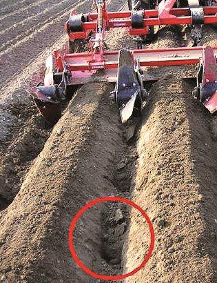 Agrotechnika podrývání agrotechnické opatření, při kterém se kypří a provzdušňuje podorniční vrstva půdy, ale nevynáší se na povrch půdy speciální technologie důlkování, hrázkování, odkameňování 16
