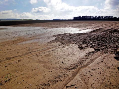 Eroze zemědělské půdy plošná eroze rovnoměrný smyv půdních částic po celé ploše, vyplavovány především jemnozrnné frakce půdy