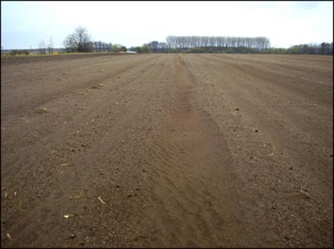 Eroze zemědělské půdy rýhová eroze pokračuje soustřeďování povrchově stékající vody do hlubších a širších rýh. Obvykle se tyto rýhy tvoří v drahách soustředěného odtoku.