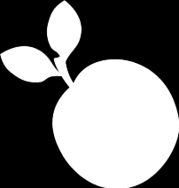 an apple