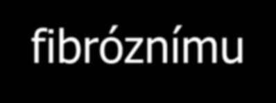 Nádory fibrohistiocytární Z buněk, které mají schopnost fagocytózy a zároveň tvoří kolagenní vlákna.