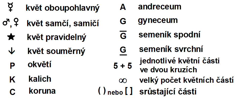 Pozorování stavby květu tulipánu provádíme pohledem shora. Nejprve zjistíme, kolika řezy by bylo možné rozdělit květ na shodné poloviny (jedná se o 3 podélné řezy).