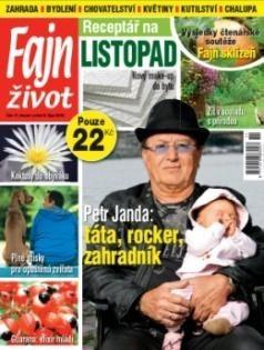 Fajn život Zábavný měsíčník pro zlaté české ruce Fajn život je magazín pro celou rodinu, který přináší nápady, rady a inspirace, jak vytvořit krásnější dům, chatu, chalupu a zahradu.