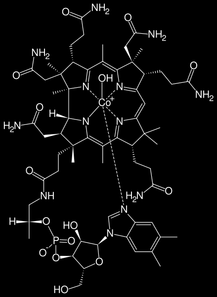 Struktura vitaminu B 12 http://commons.