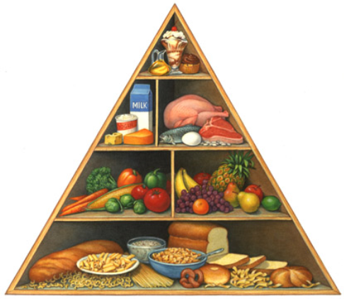 Pyramida výživy 8 7 5 6 3 4 2 1 * 1: OBILNINY, CELOZRNNÉ VÝROBKY, PEČIVO, TĚSTOVINY * 2: RÝŽE, LUŠTĚNINY, OŘECHY * 3: ZELENINA * 4: