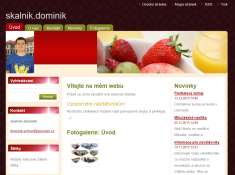 tvořili a upravovali dokumenty i jednoduché prezentace. Webnode.