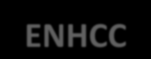 ENHCC European Network of Health Care Chaplaincy Evropská síť nemocničního kaplanství Statement -