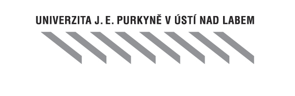 Obsah STRUČNÝ OBSAH PROJEKTU...2 PARTNEŘI PROJEKTU...2 Partner bez finančního příspěvku:...2 Partner s finančním příspěvkem:...2 PŘEDPOKLÁDANÁ DOBA REALIZACE PROJEKTU...2 CÍLE PROJEKTU...3 Dílčí cíle.