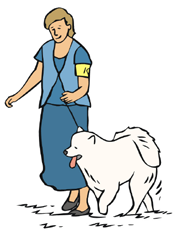- trieda mladých VD Bachus z Baśniowego Ogrodu (9.6.2004, Alysz z Tarnawskej Riviery x Perla z Tagmowego Gniazda), ch: Klyz Bogumil, m: Szynkarewicz Artur, PL - trieda stredná V1, CWC, Res.