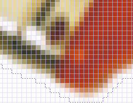 FORMÁTY RASTROVÝCH DAT Už víme, že rastrové editory ukládají obraz jako posloupnost grafických elementů, bodů, pixelů (pixel = picture element). Každý pixel má jako svůj atribut barvu.