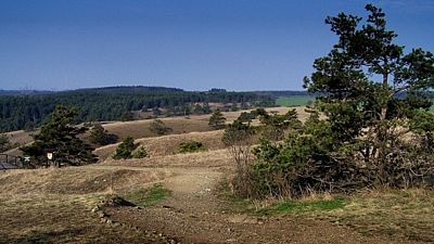 3. Prales v Beskydech Kdysi pokrýval celé Beskydy smíšený les, který se v původní podobě dochoval jen v Těšínských Beskydech. V přírodní rezervaci prales Mionší na vás dýchne kouzlo nedotčené krajiny.
