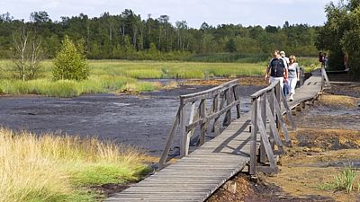 5. Nejvyšší vodopád V nejvyšších horách Česka leží i nejvyšší český Pančavský vodopád. Celé kaskády měří 250 metrů.