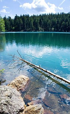 9. Tundra v Krkonoších Botanikové a zoologové zaplesají nad Úpským rašeliništěm, které návštěvníky přenáší do subarktické tundry, která sem zasahovala během doby ledové.