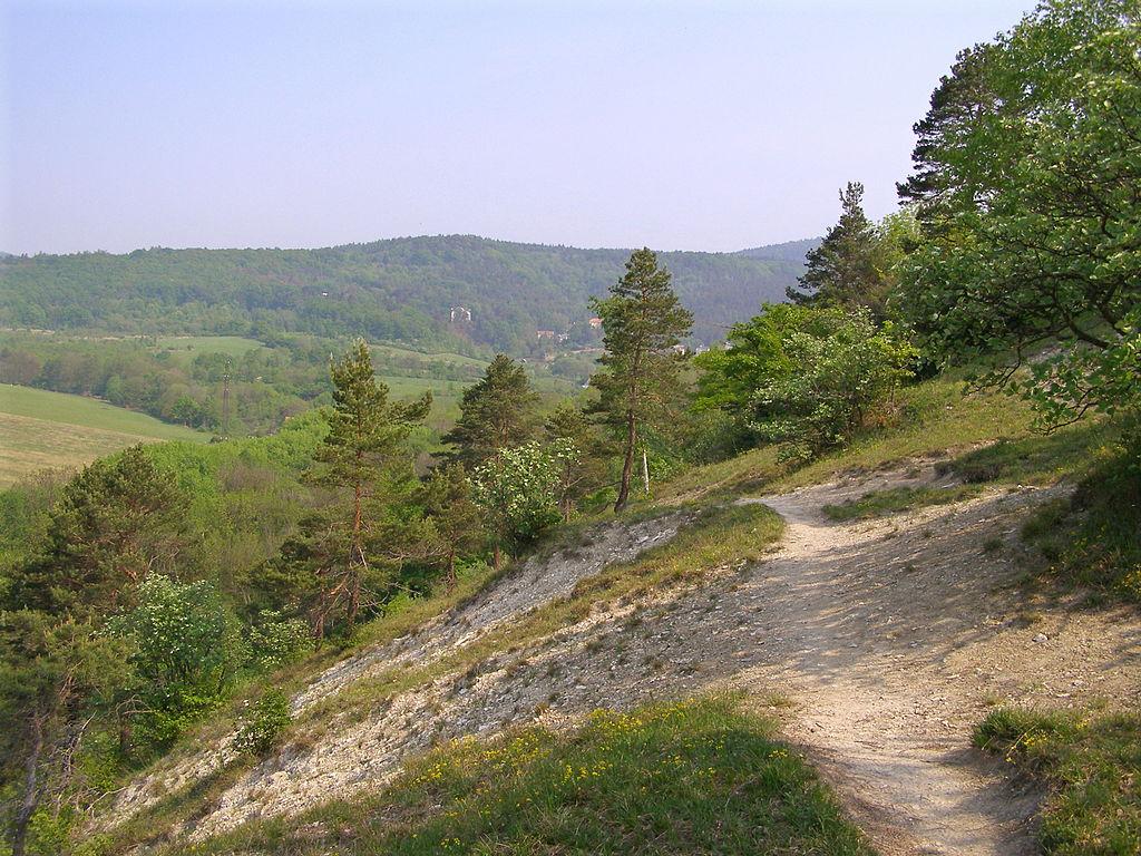 Je přírodní útvar menší rozlohy, zejména geologický či geomorfologický útvar, naleziště nerostů nebo vzácných či ohrožených druhů.