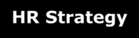 HR Strategy Hlavní role: tvorba strategií: strategické vzdělávání, tvorba hodnocení, strategie náboru, Compen&Ben, strategické plánování, budgeting, controlling, tvorba