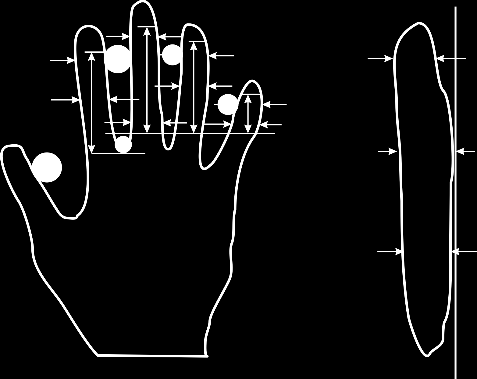Schlenker, Šárek Biometrické metody pro aplikace v biomedicíně cs39 který převádí tlak na elektrický signál a vytváří tak obraz otisku prstu.