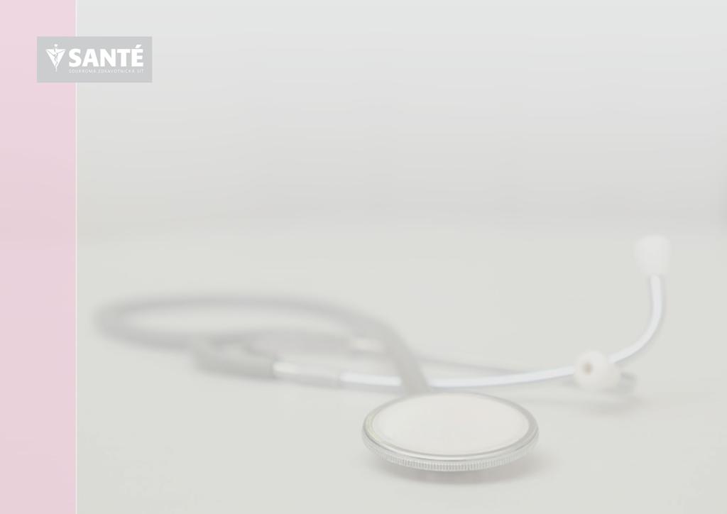 Představení holdingu Santé SANTÉ GROUP je holdingovou