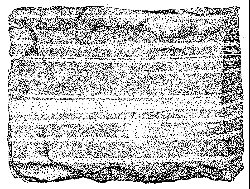 Textury sedimentárních hornin Pro většinu sedimentárních hornin je typická vrstevnatá textura související se