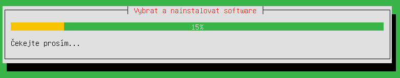 Jméno serveru volíme s rozmyslem. Budeme pomocí jména serveru sdílet disky a nastavovat další služby. Jméno nesmí obsahovat česné znaky, ani mezery. Hodně firem volí názvy např.