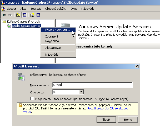 Strana 21 Windows Server