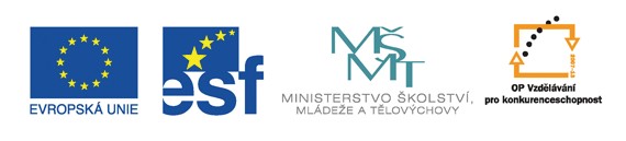 INVESTICE DO ROZVOJE VZDĚLÁVÁNÍ Informační zpravodaj pro partnery projektu CPIV Plzeň Únor 2011