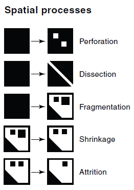 FRAGMENTACE Figure 1 Five ways in which landscapes can be modified by humans (redrawn from Forman, R.T. 1995: Land Mosaics. The Ecology of Landscapes and Regions.