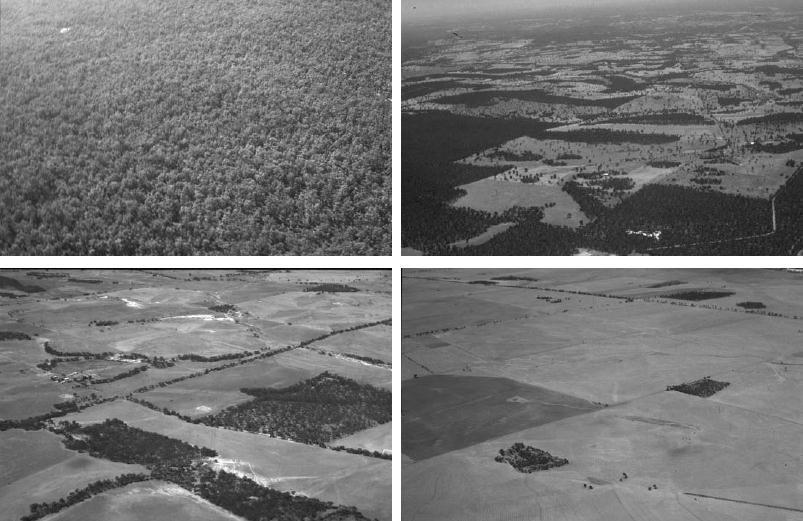 FRAGMENTACE Figure 3 States of landscape condition: Intact (top left), Variegated (top