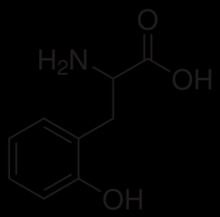 BÍLKOVINY = PROTEINY