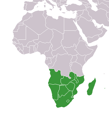 JIŽNÍ AFRIKA Zeměpisná