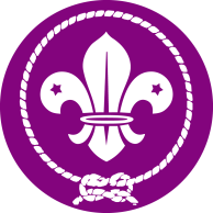 Wosm (pro kluky) - na pravý rukáv nahoru Skautky Skauti Pokud má člen složený slib vlčat (kluci) nebo