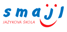 Soubor jazykových karet NA CESTY Plus Každá tematická karta zahrnuje slovní zásobu k danému tématu předložková spojení s užitými slovíčky běžně užívané fráze věty pro plynulou komunikaci Soubor