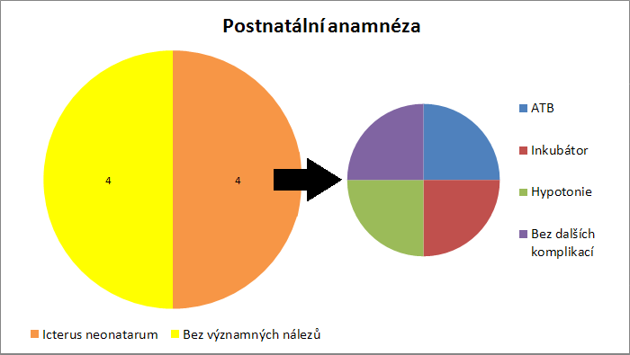 Informace ohledně postnatální anamnézy vykazovaly u poloviny klientů několik zásadních faktů. Ve všech čtyřech případech se u dětí projevila silná novorozenecká žloutenka s nutností fototerapie (Kl.