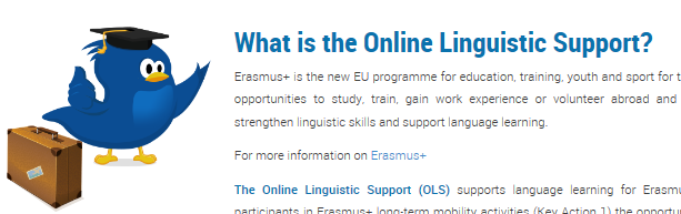 Povinnost online zhodnocení jazykových kompetencí před a po mobilitě v hlavních pracovních jazycích (UK, FR, DE, IT, ES), vyjma rodilých mluvčích.