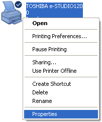 POUŽITÍ JINÝCH NAINSTALOVANÝCH OVLADAÈÙ Používáte-li jinou GDI tiskárnu nebo tiskárnu Windows Printing System, mùže dojít k vzájemnému ovlivòování funkce tiskáren a tisk se nemusí provést správnì.