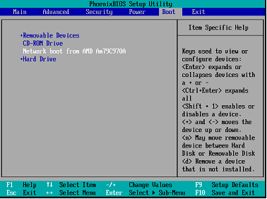 Na počítači s nainstalovaným operačním systémem je nutné nastavit BIOS tak, aby byla síťová karta prvním zaváděcím zařízením, nebo aby alespoň byla před pevným diskem.