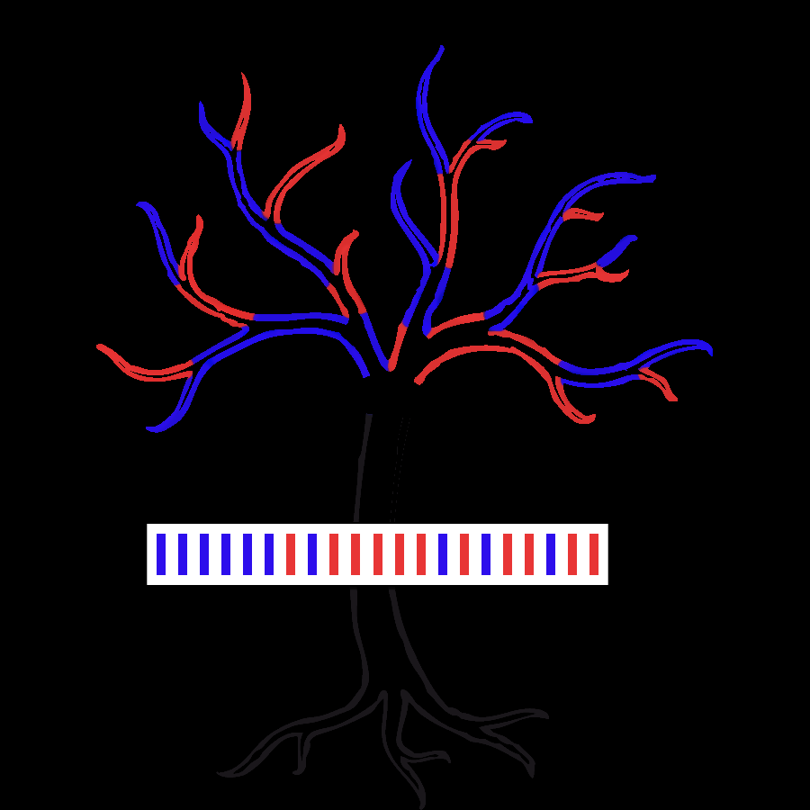 Obrázek 3 Řešení příkladu Úloha 5A (5 bodů): Erik začne se čtením na kmeni stromu. První čárka v zápise je modrá, takže se přesuneme po modré větvi směřující doleva a na první čárku můžeme zapomenout.