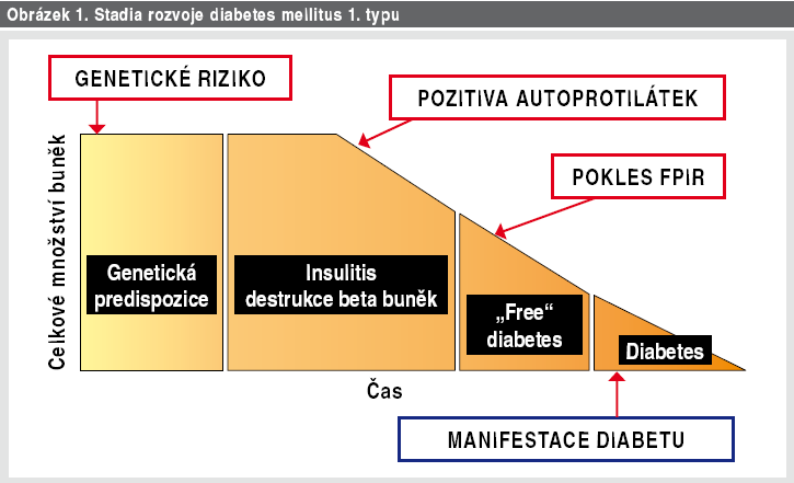 Rozvoj diabetu 1. typu Obr.1 Mendlová P, Koloušková S.
