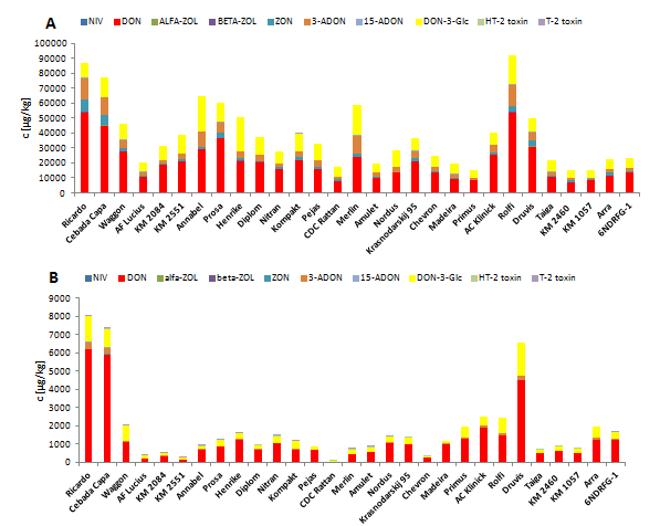 Obrázek 2: Mykotoxinová kontaminace jednotlivých odrůd ječmene po cílené inokulaci F. culmorum. (A) lokalita Kroměříž, (B) lokalita Žabčice.