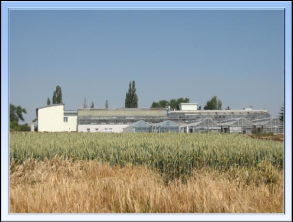 Výzkumný ústav rostlinné výroby, v.v.i. Agrotest fyto, s.r.o. Bayer s.r.o. Editors: Pouchová V.