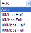 Subnet Mask: Zadejte masku druhé podsítě pro port LAN.