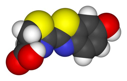 SYMBIOTICKÉ
