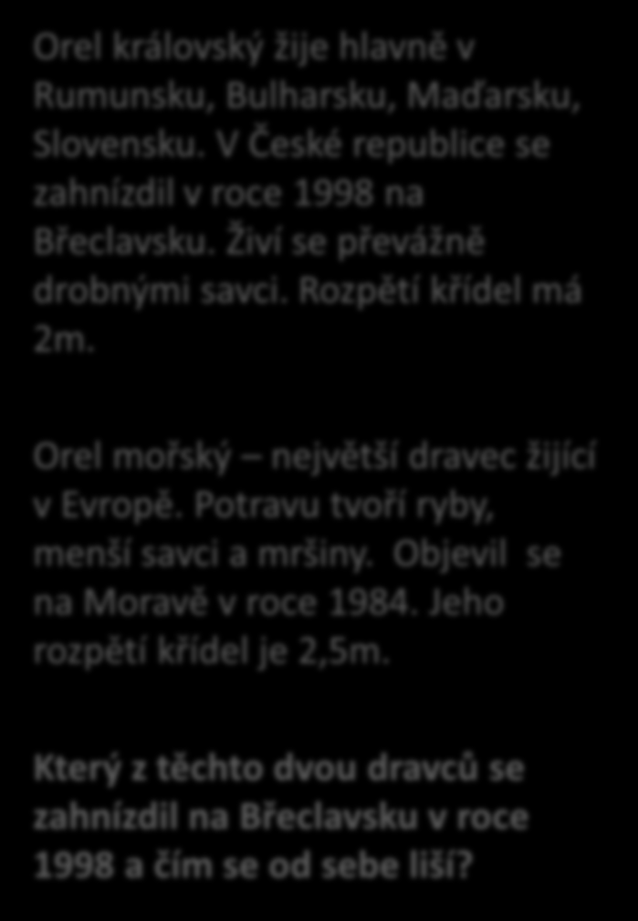 Orel královský Orel mořský Orel královský žije hlavně v Rumunsku, Bulharsku, Maďarsku, Slovensku.