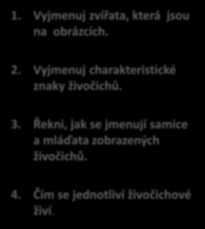 Zvířata lužních lesů 1.