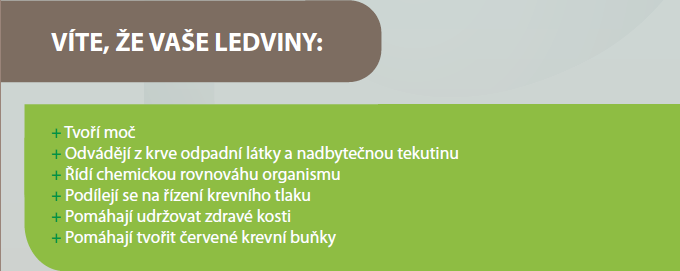 Ledviny fungují jako počítač monitorující objem