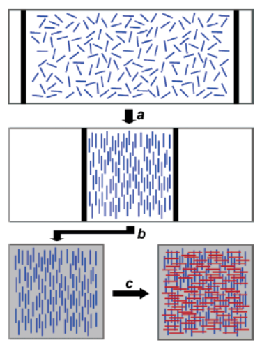 Uspořádané nanodrátky v 2D Surfaktanty jsou stlačením uspořádány Pak je přeneseme na