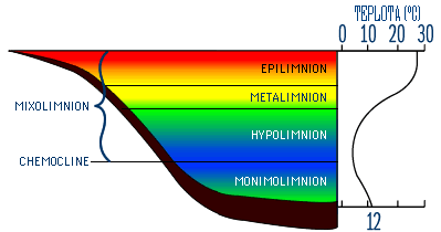 Teplo a tepelná kapacita Specifické teplo (kolik energie (kj) potřeba na ohřátí 1 kg vody o 1 C) je relativně vysoké = voda má vysokou tepelnou kapacitu (mnohokrát větší než vzduch) ohřáté masy vody